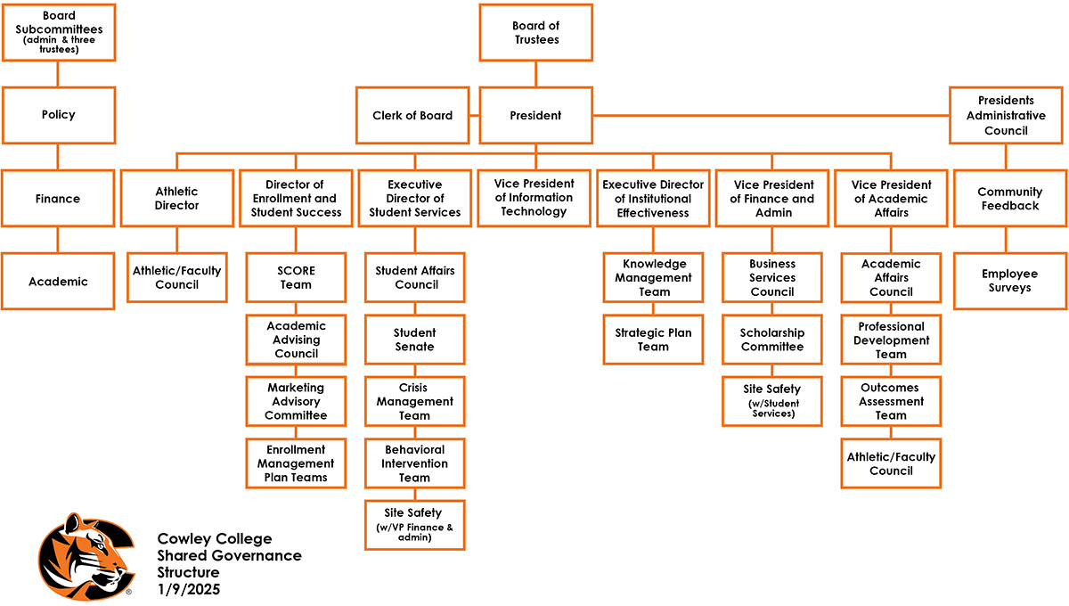 shared governance structure chart