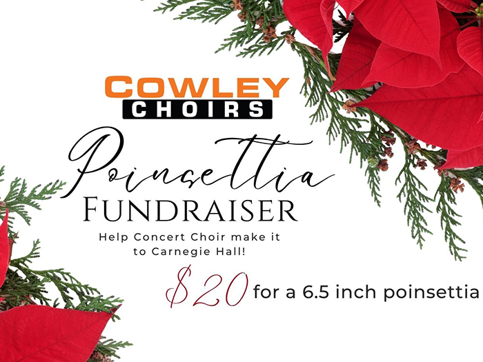 fundraiser poster
