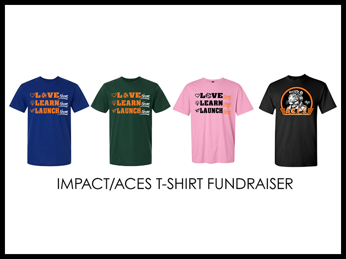 fundraiser poster