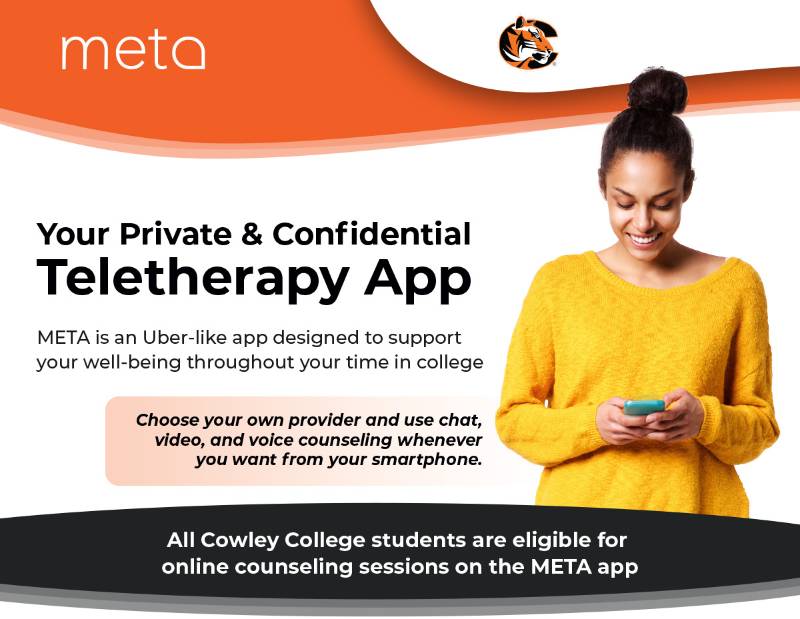 META Teletherapy services
