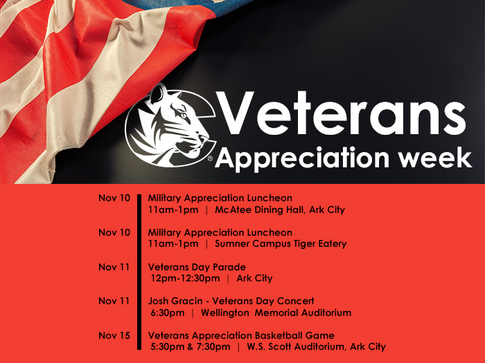graphic for veterans week